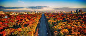 Aerial View of Berlin Tiergarten Park in Autumn with City Skyline HD wallpaper