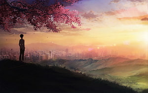 Anime Boy Silhouette Watching City Sunset Under Cherry Blossom Tree HD wallpaper