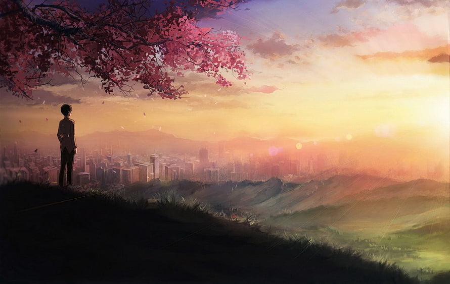 Anime Boy Silhouette Watching City Sunset Under Cherry Blossom Tree HD wallpaper