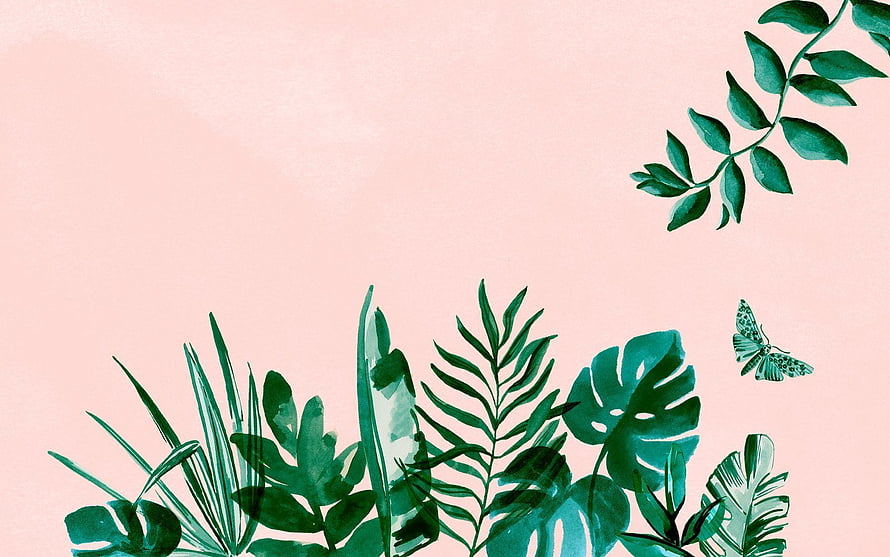 Tropical Botanical Watercolor Illustration with Monstera Leaves and Butterfly on Soft Pink Background HD wallpaper