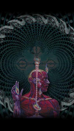Tool Band Psychedelic Artwork Featuring Anatomical Figure and Sacred Geometry HD phone wallpaper