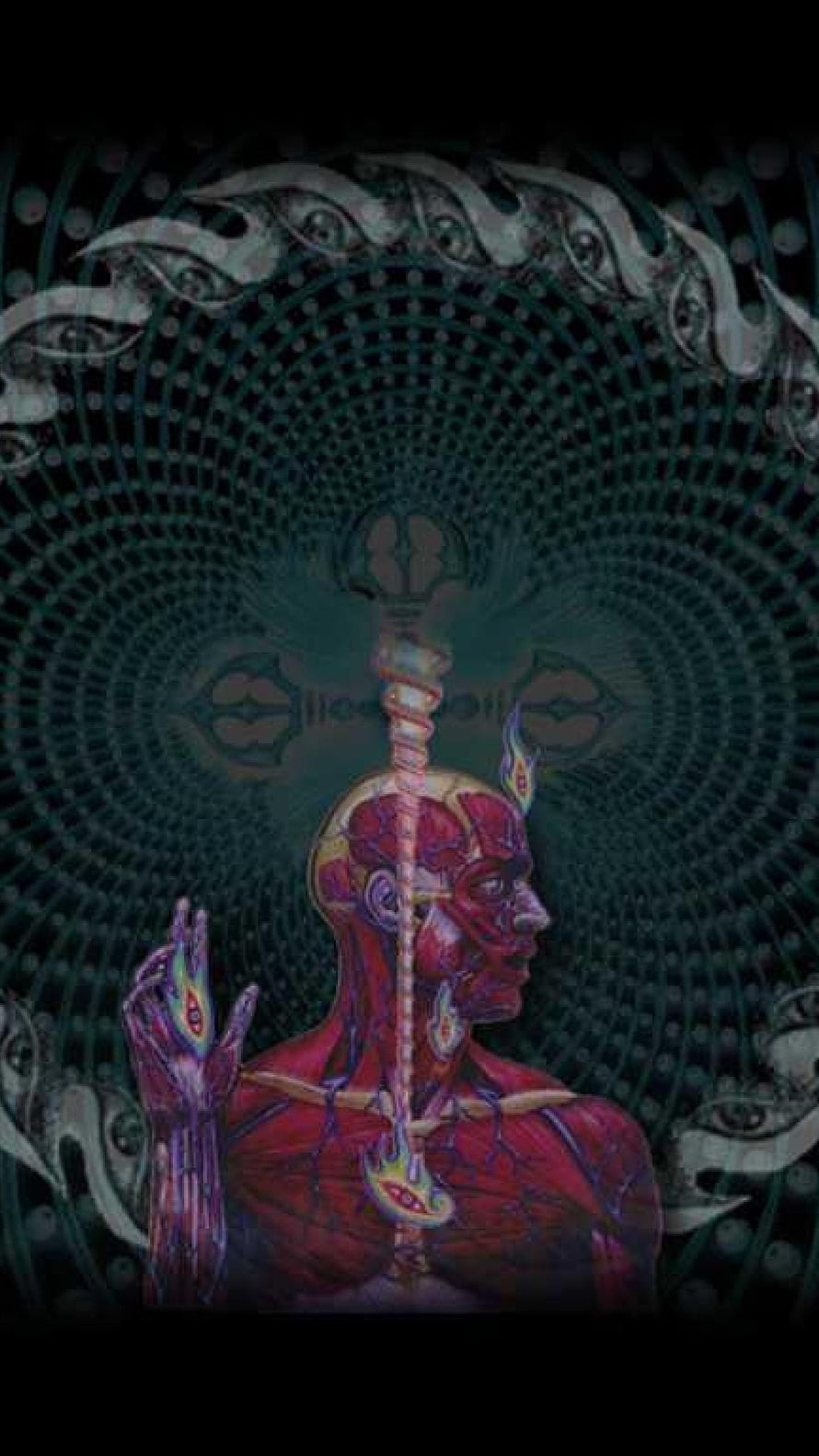 Tool Band Psychedelic Artwork Featuring Anatomical Figure and Sacred Geometry HD phone wallpaper