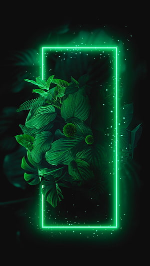 Glowing Green Neon Frame Surrounding Lush Tropical Foliage in Dark Setting HD phone wallpaper