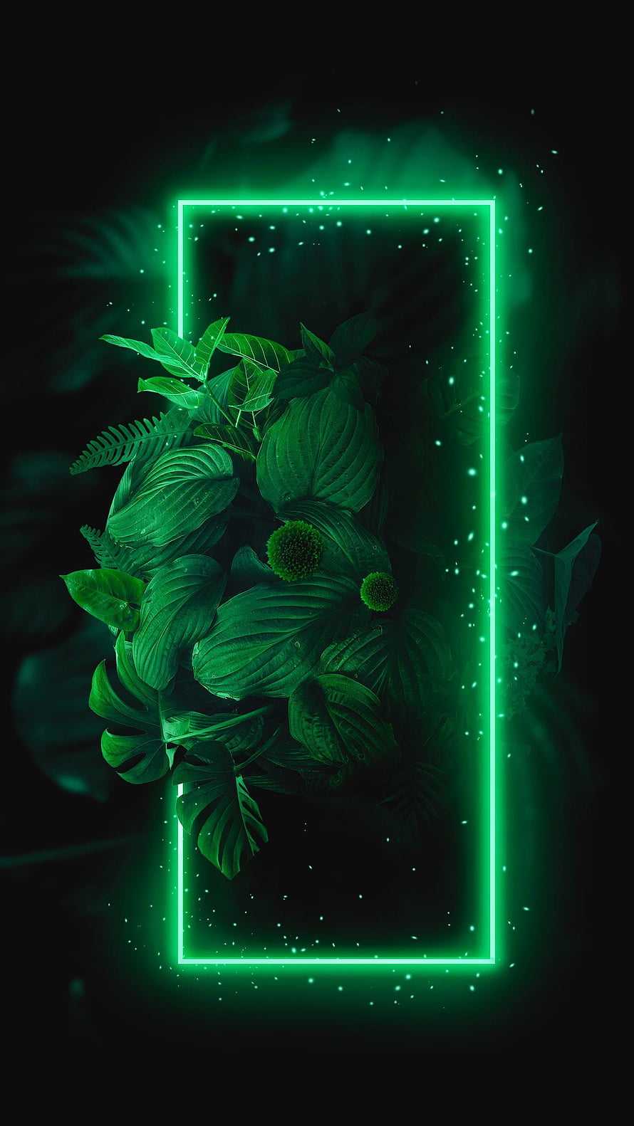 Glowing Green Neon Frame Surrounding Lush Tropical Foliage in Dark Setting HD phone wallpaper