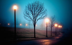 Misty Park Pathway at Dusk with Glowing Street Lamps and Bare Trees HD wallpaper