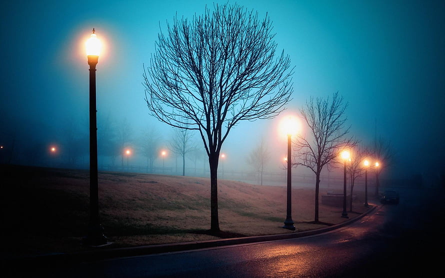 Misty Park Pathway at Dusk with Glowing Street Lamps and Bare Trees HD wallpaper