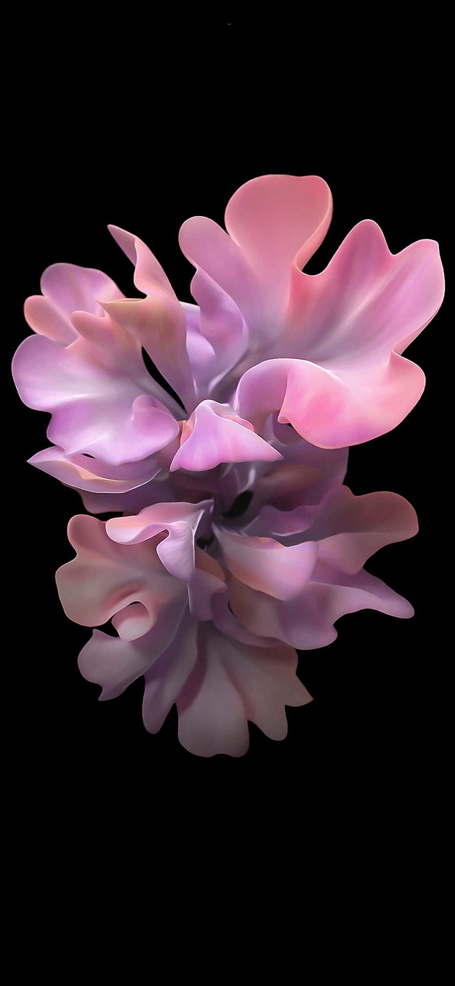Elegant Pink 3D Flower Art on Black Background HD phone wallpaper