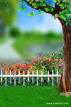Serene Garden Scene With White Picket Fence, Vibrant Flowers, and Leafy Tree HD phone wallpaper