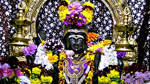 Ornate Amman Deity Statue Adorned With Vibrant Flower Garlands And Gold Jewelry, Amman HD wallpaper