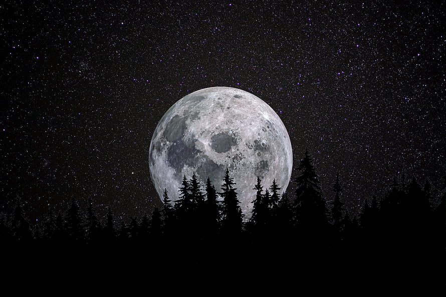 Full Moon Rising Over Silhouetted Pine Forest Under a Starry Night Sky HD wallpaper