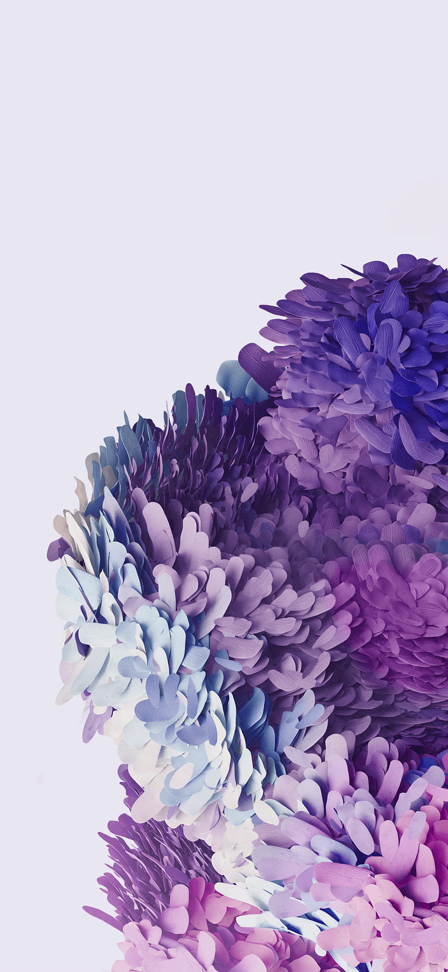 Samsung Galaxy S20 Official Wallpaper with Abstract Purple and Blue Floral Petals HD phone wallpaper