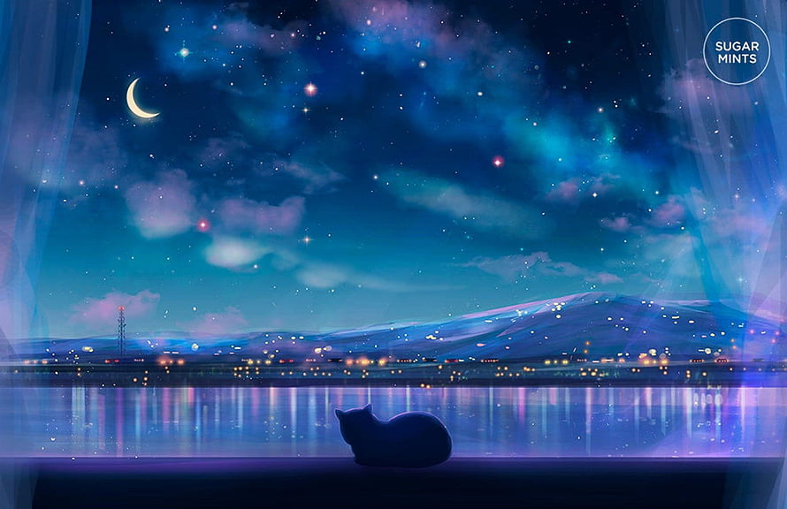 Silhouette of a cat gazing at a starry night sky over a city skyline HD wallpaper