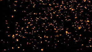 Glowing Fire Particles Drifting Through Dark Space HD wallpaper