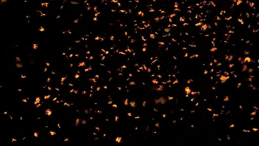 Glowing Fire Particles Drifting Through Dark Space HD wallpaper