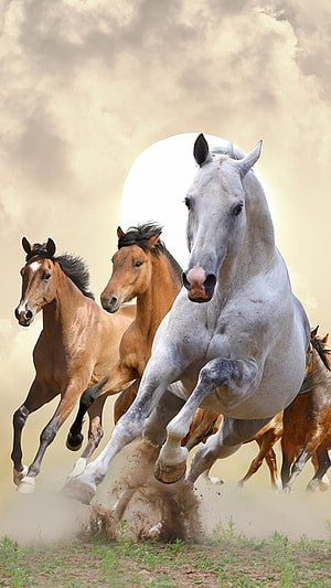 Wild Horses Galloping Across a Dusty Plain Under a Dramatic Sky HD phone wallpaper