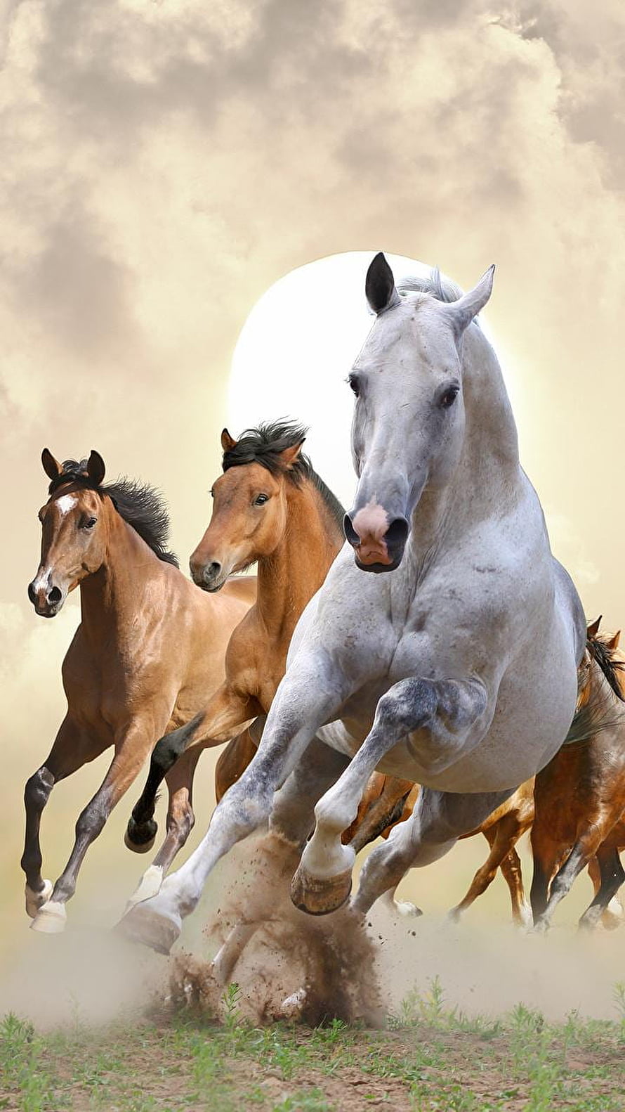 Wild Horses Galloping Across a Dusty Plain Under a Dramatic Sky HD phone wallpaper