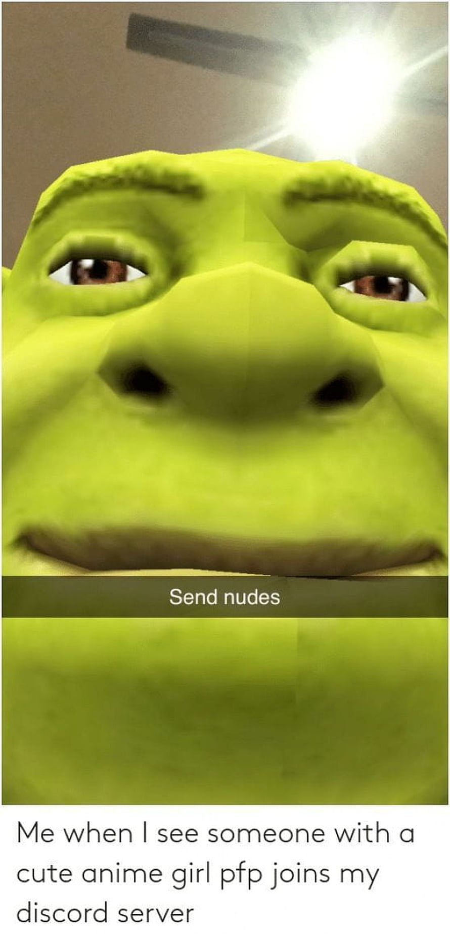 Shrek Meme Reaction to Discord Server Invite with Anime Girl Profile Picture HD phone wallpaper