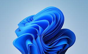 Windows 11 Default Blue Abstract Flower Wallpaper HD wallpaper
