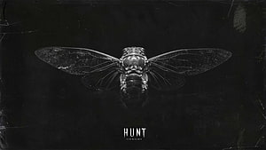 Cicada 3301 Cryptographic Puzzle Logo with Metallic Insect on Dark Background HD wallpaper