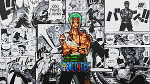 Roronoa Zoro One Piece Manga Panel Collage Wallpaper HD wallpaper