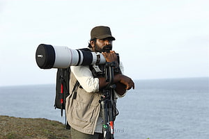 Wildlife Photographer with Telephoto Lens and Tripod by the Sea HD wallpaper