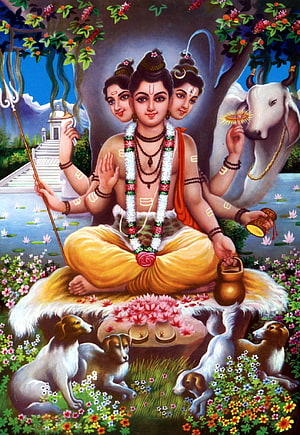 Dattatreya Tri-Mukhi Deity with White Bull and Dogs in a Lotus Garden HD phone wallpaper