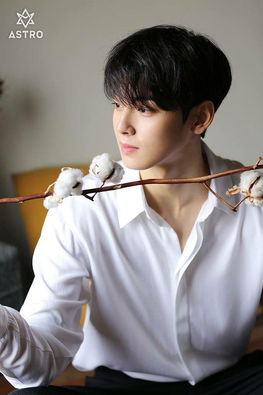 Cha Eun Woo of Astro in a white shirt holding a cotton branch in a soft-lit portrait HD phone wallpaper