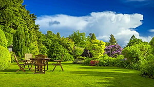 Serene Garden Scenery with Wooden Patio Furniture and Lush Greenery Under a Blue Sky HD wallpaper