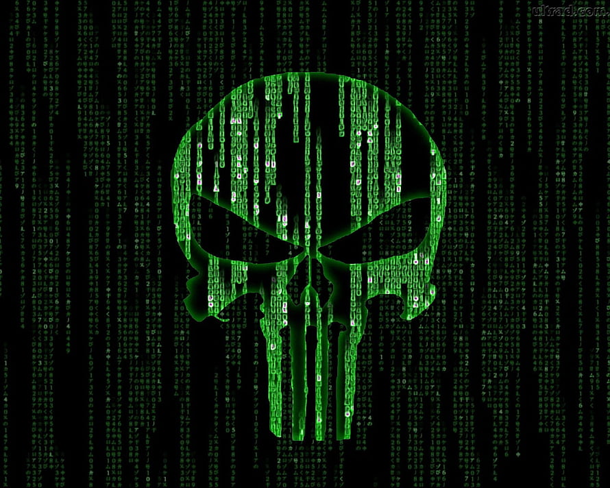 The Punisher Skull Logo Rendered in Green Digital Matrix Code on Dark Background HD wallpaper
