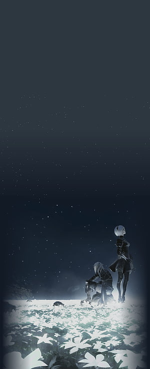 2B and 9S Gazing at a Starry Night Sky in a Field of White Flowers HD phone wallpaper