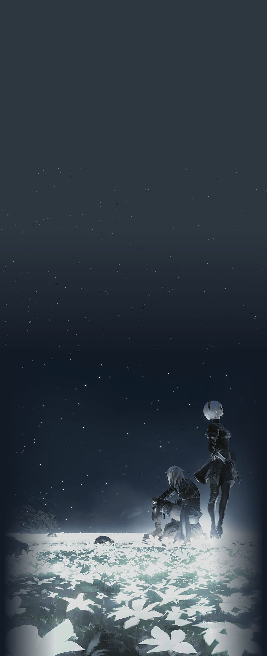 2B and 9S Gazing at a Starry Night Sky in a Field of White Flowers HD phone wallpaper