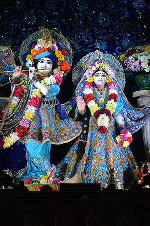 Ornate Radha Krishna Temple Deities Adorned With Vibrant Flower Garlands and Traditional Attire HD phone wallpaper