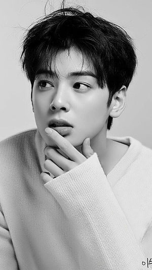 Cha Eun Woo Black and White Portrait in Knit Sweater HD phone wallpaper