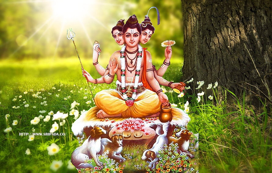 Guru Dattatreya Meditation Illustration with Dogs and Trishula in a Sunlit Garden HD wallpaper