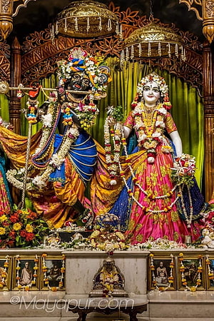 Ornate Krishna and Radha Temple Deities Adorned in Vibrant Silk and Floral Garlands HD phone wallpaper