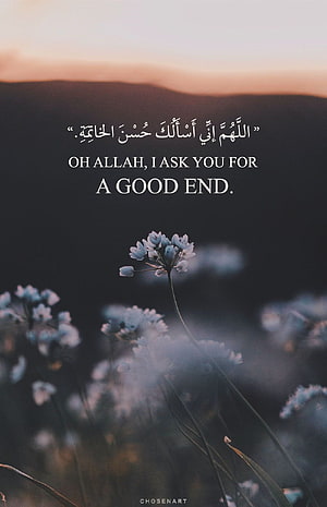 Islamic Quote Wallpaper Featuring Wildflowers and Mountain Sunset Landscape HD phone wallpaper