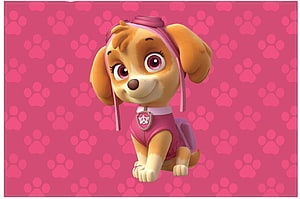 Skye from Paw Patrol in pink flight suit with aviator goggles on a paw print background HD wallpaper