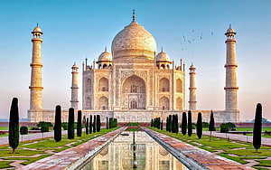 Taj Mahal at Dawn with Reflecting Pool and Cypress Gardens in Agra, India HD wallpaper
