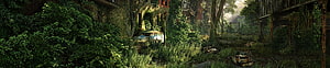 Overgrown Post-Apocalyptic City Street with Abandoned Rusty Cars and Dense Jungle Vegetation HD wallpaper