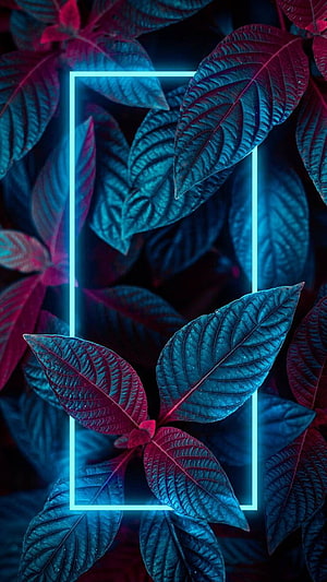 Neon Blue and Magenta Tropical Leaves with Glowing Geometric Frame HD phone wallpaper