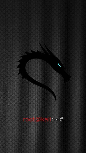 Kali Linux Dragon Logo with Terminal Prompt on Dark Hexagonal Background HD phone wallpaper