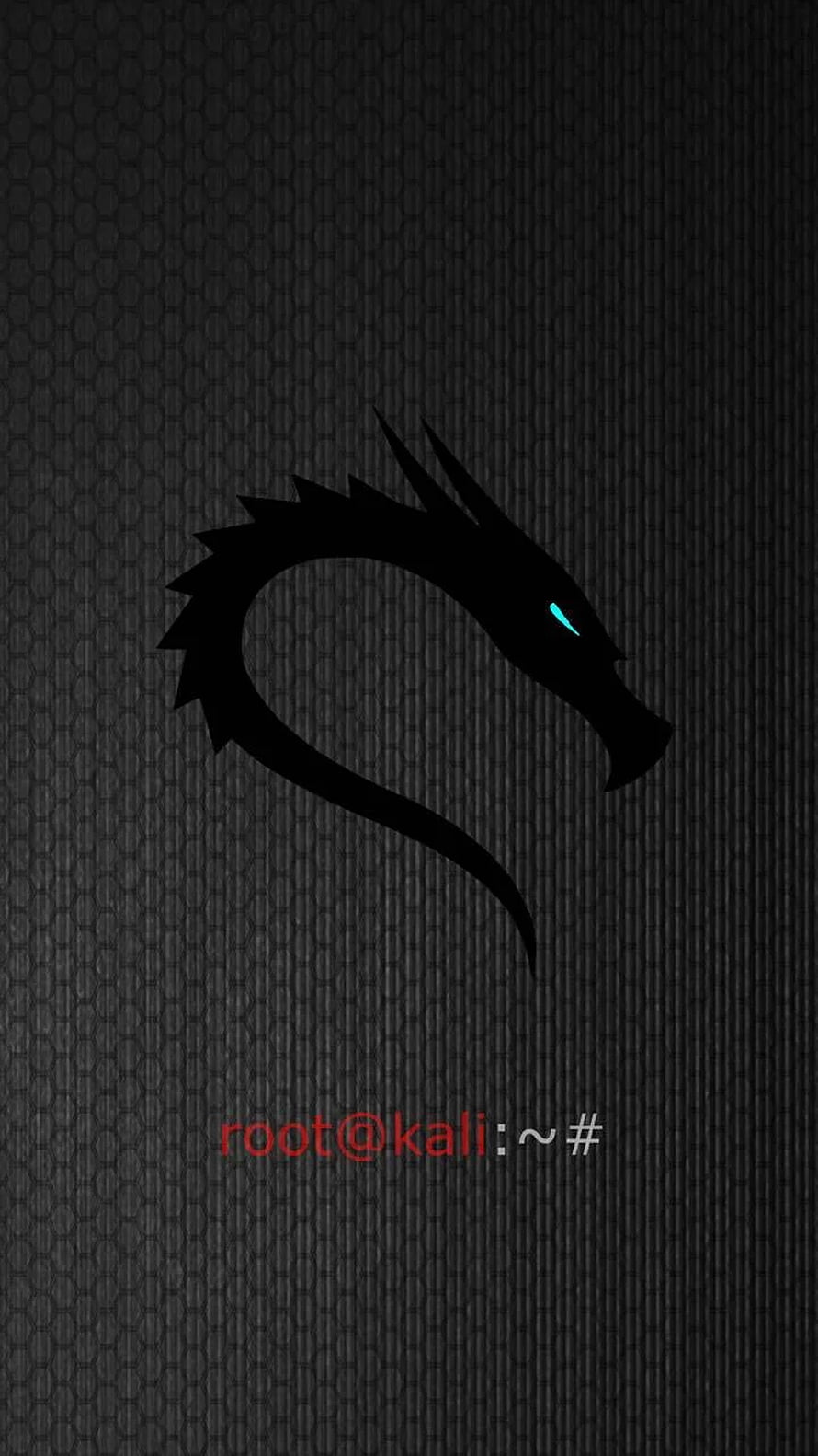 Kali Linux Dragon Logo with Terminal Prompt on Dark Hexagonal Background HD phone wallpaper