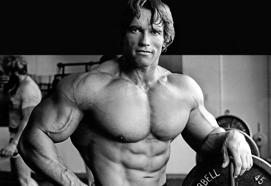 Arnold Schwarzenegger Classic Black and White Bodybuilding Portrait in the Gym HD wallpaper