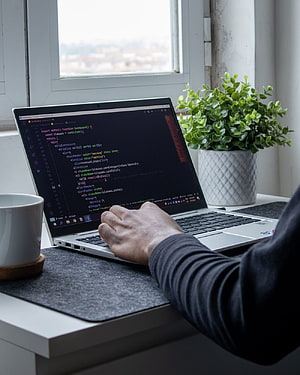 Web Developer Coding on Laptop at a Bright Home Desk with Plant and Coffee HD phone wallpaper
