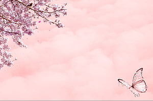 Pink Cherry Blossom Branch and Butterfly Against Soft Cloudy Sky HD wallpaper