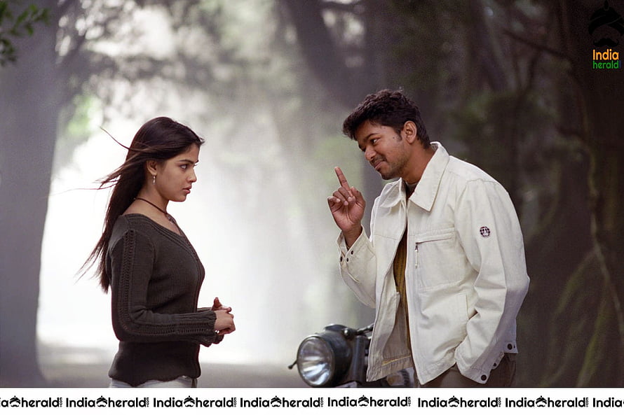 Vijay and Genelia Dhanush in a cinematic forest scene from the Indian film Sachein HD wallpaper
