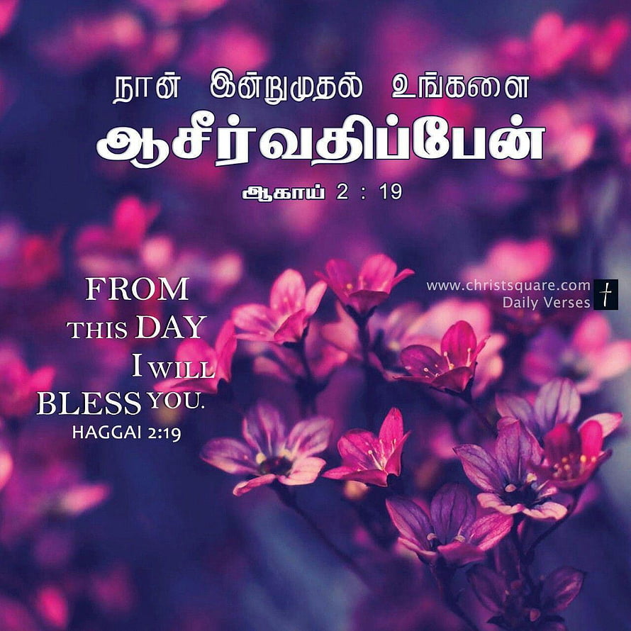 Haggai 2:19 Bible Verse with Purple Floral Background and Tamil Text HD phone wallpaper