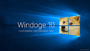 Doge Meme Parody of Windows 10 Desktop Wallpaper with Blue Light Effects HD wallpaper