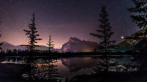 Starry Night Sky Over Mountain Lake With Pine Tree Reflections HD wallpaper