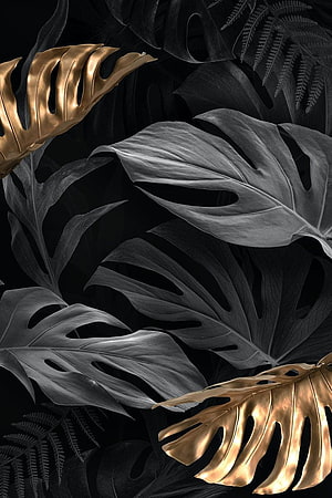 Luxurious Gold and Black Monstera Deliciosa Tropical Leaf Pattern HD phone wallpaper